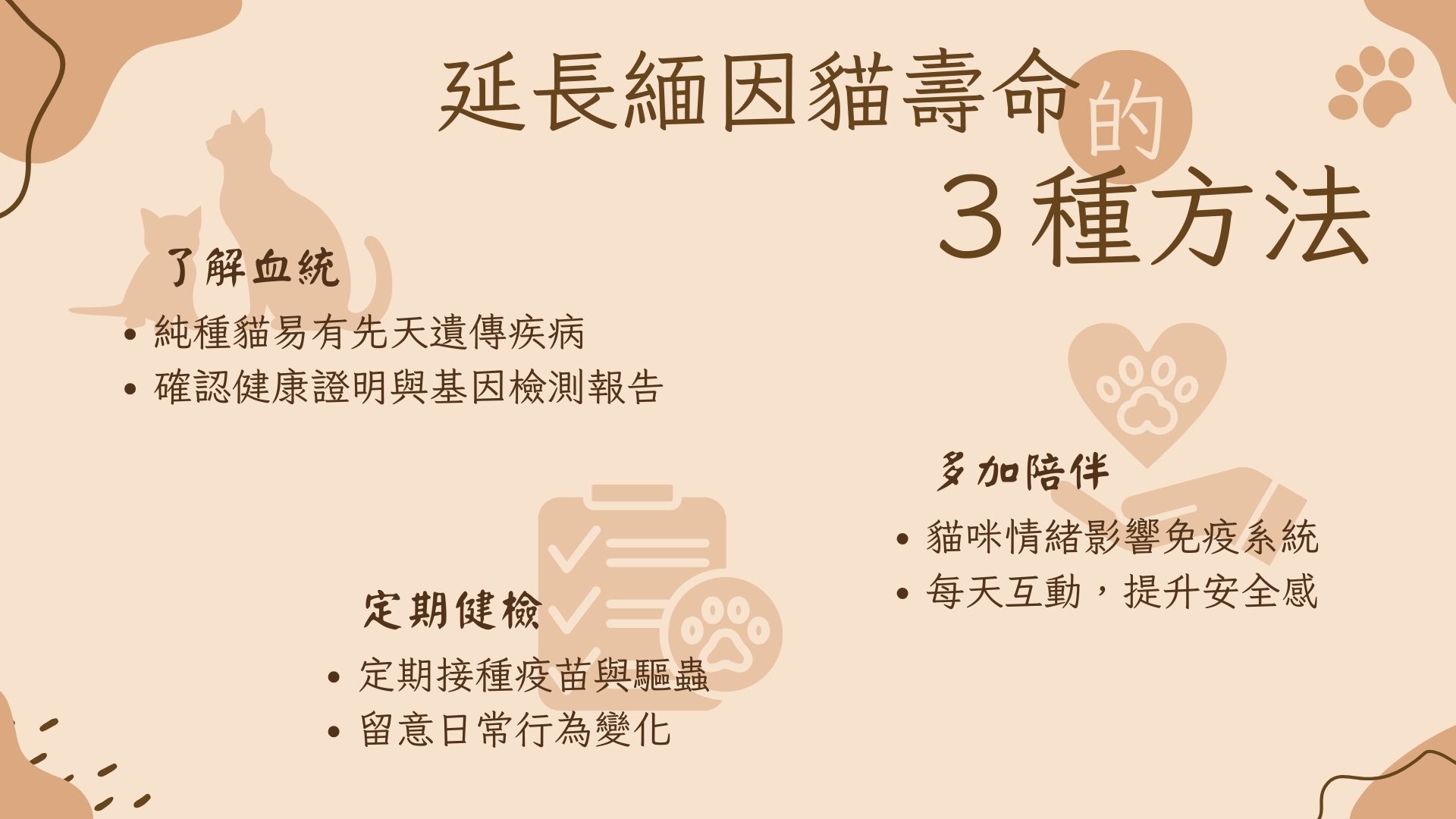 延長緬因貓壽命的方法