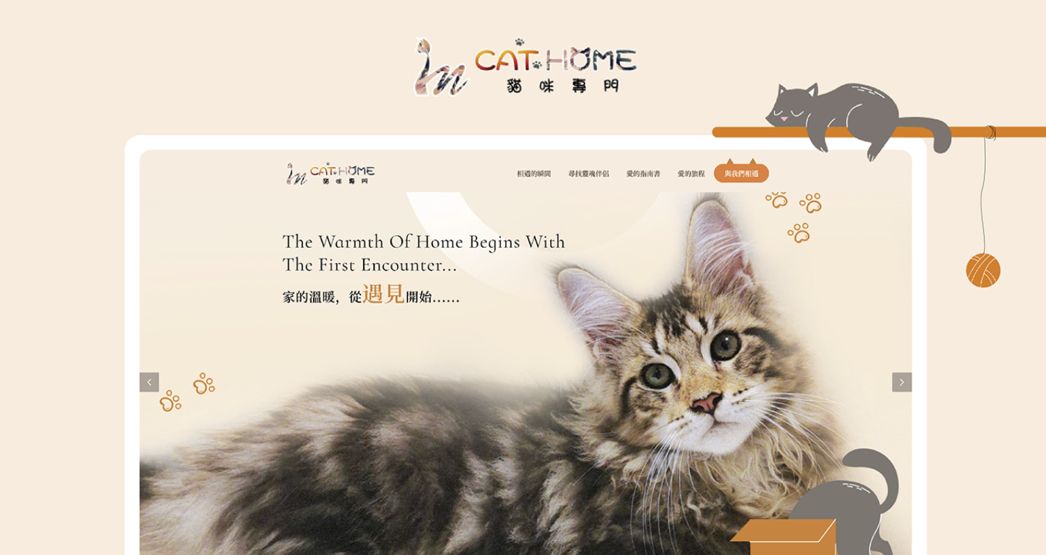 台中英短貓舍推薦