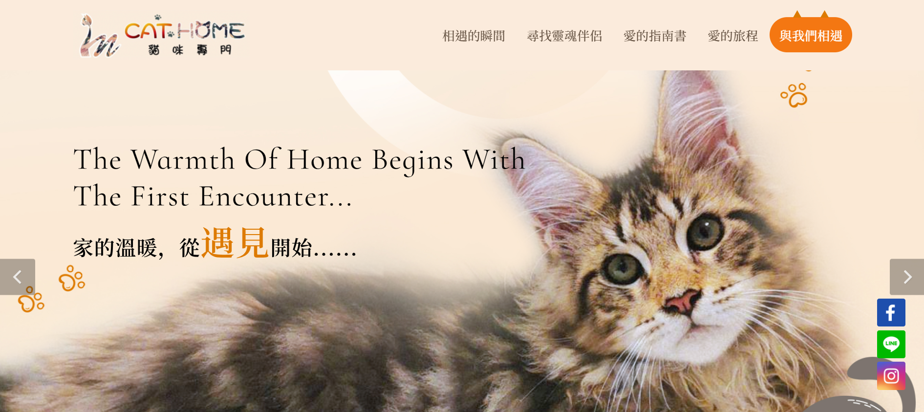 長毛貓貓舍推薦