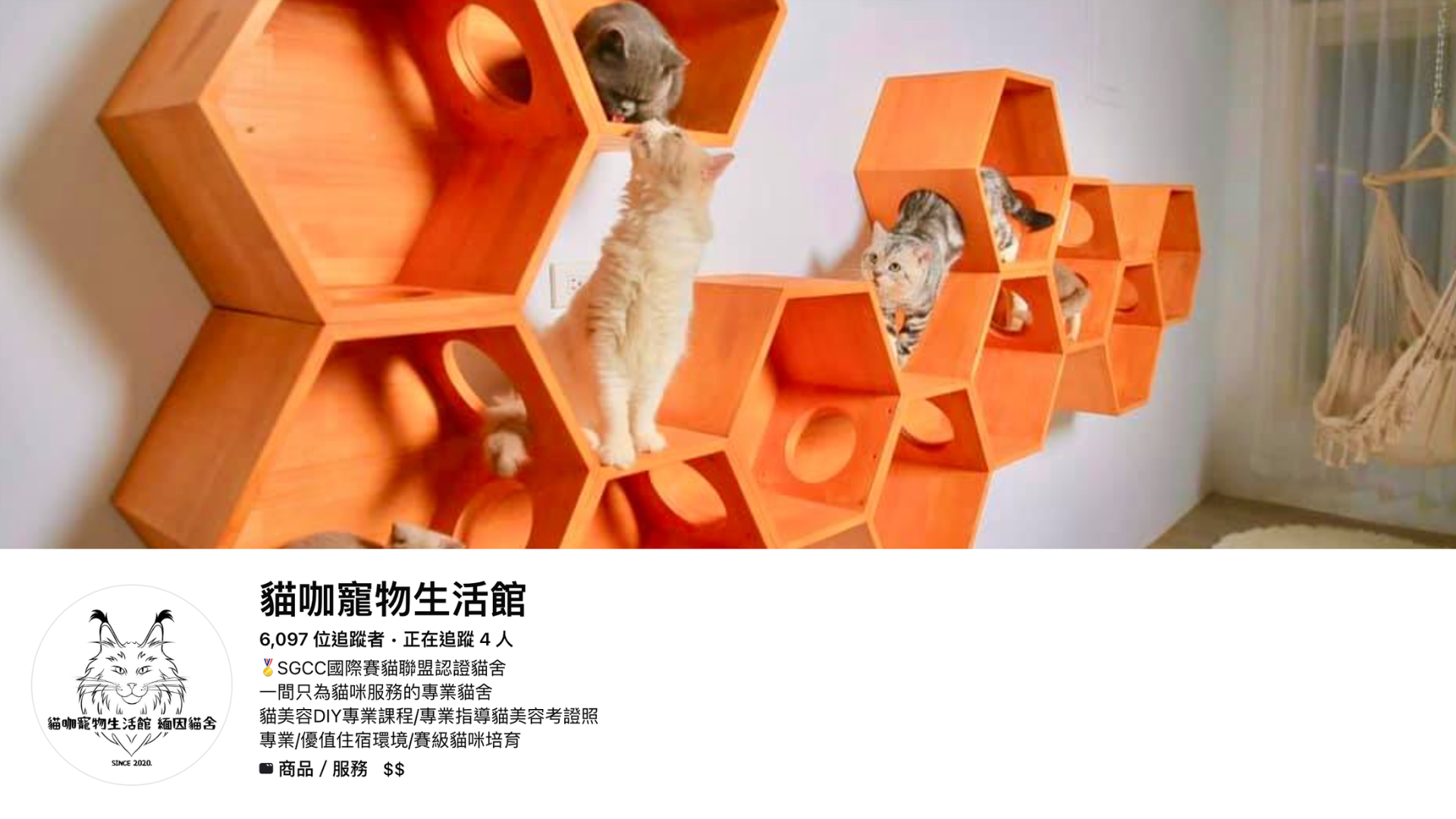 新竹緬因貓貓舍推薦：貓咖寵物生活館