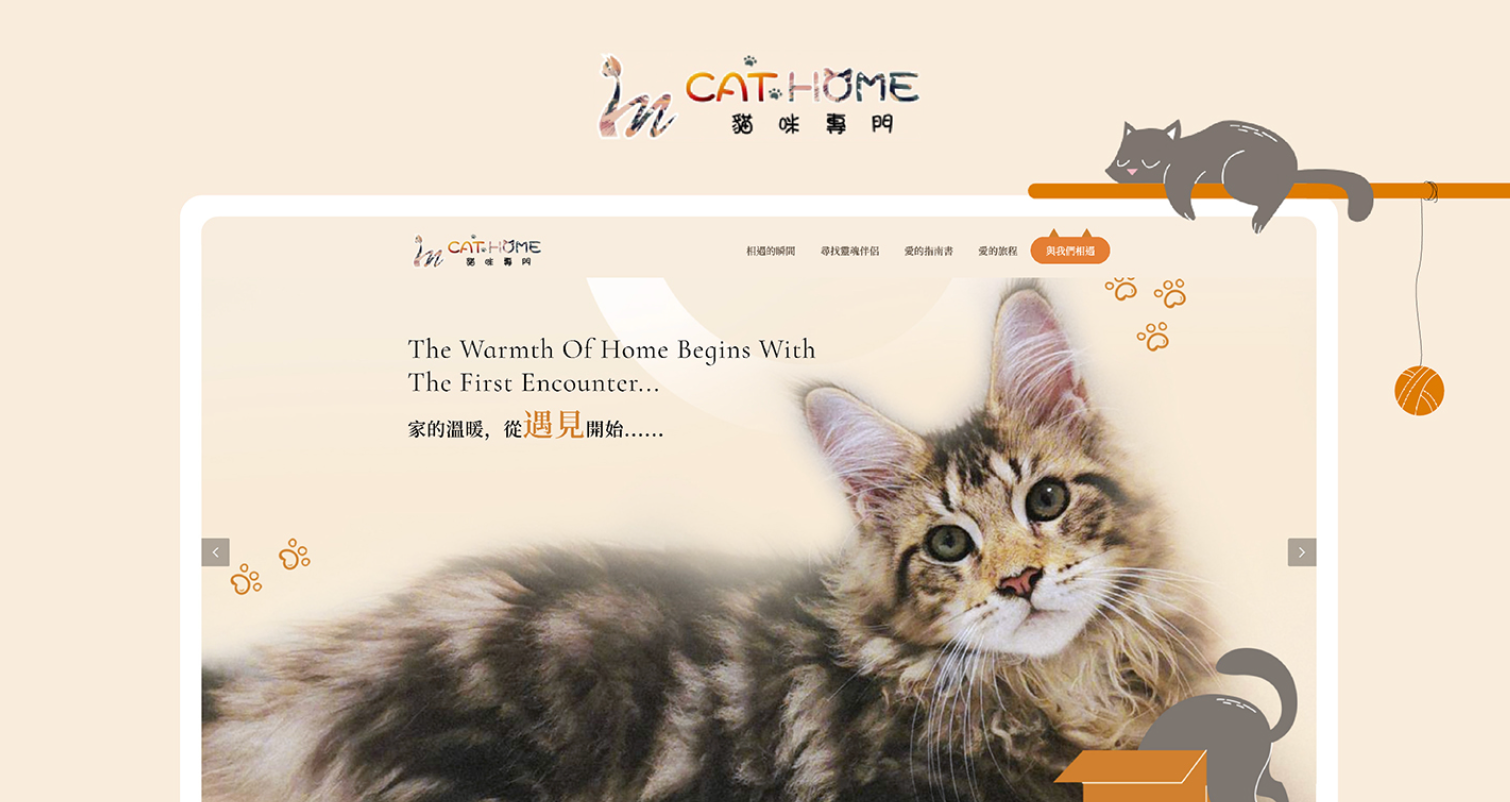 緬因貓飼養方法教學推薦in貓咪