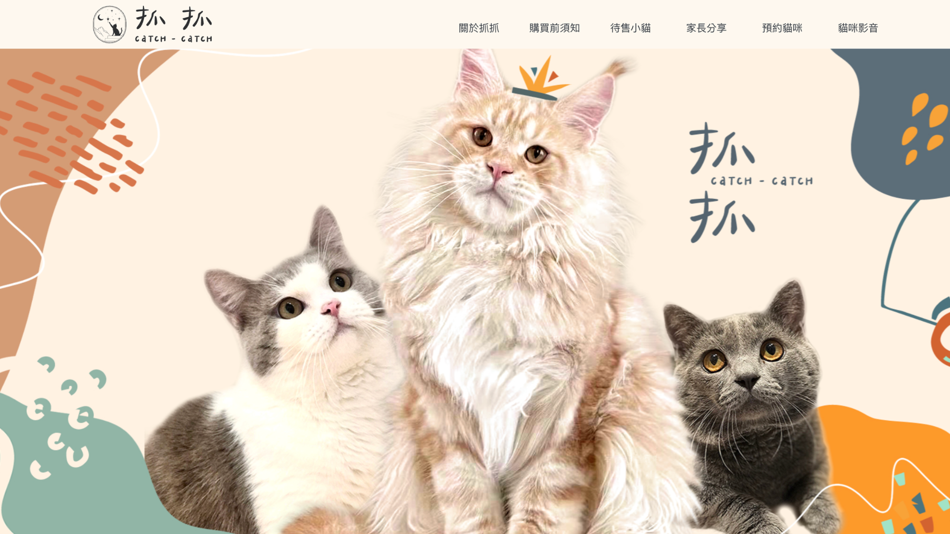 桃園小步舞曲貓舍推薦：抓抓貓舍