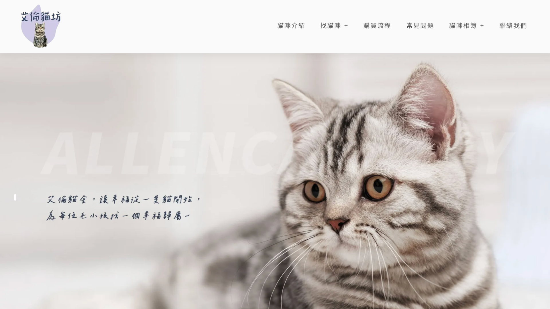 高雄小步舞曲貓舍推薦：艾倫貓舍