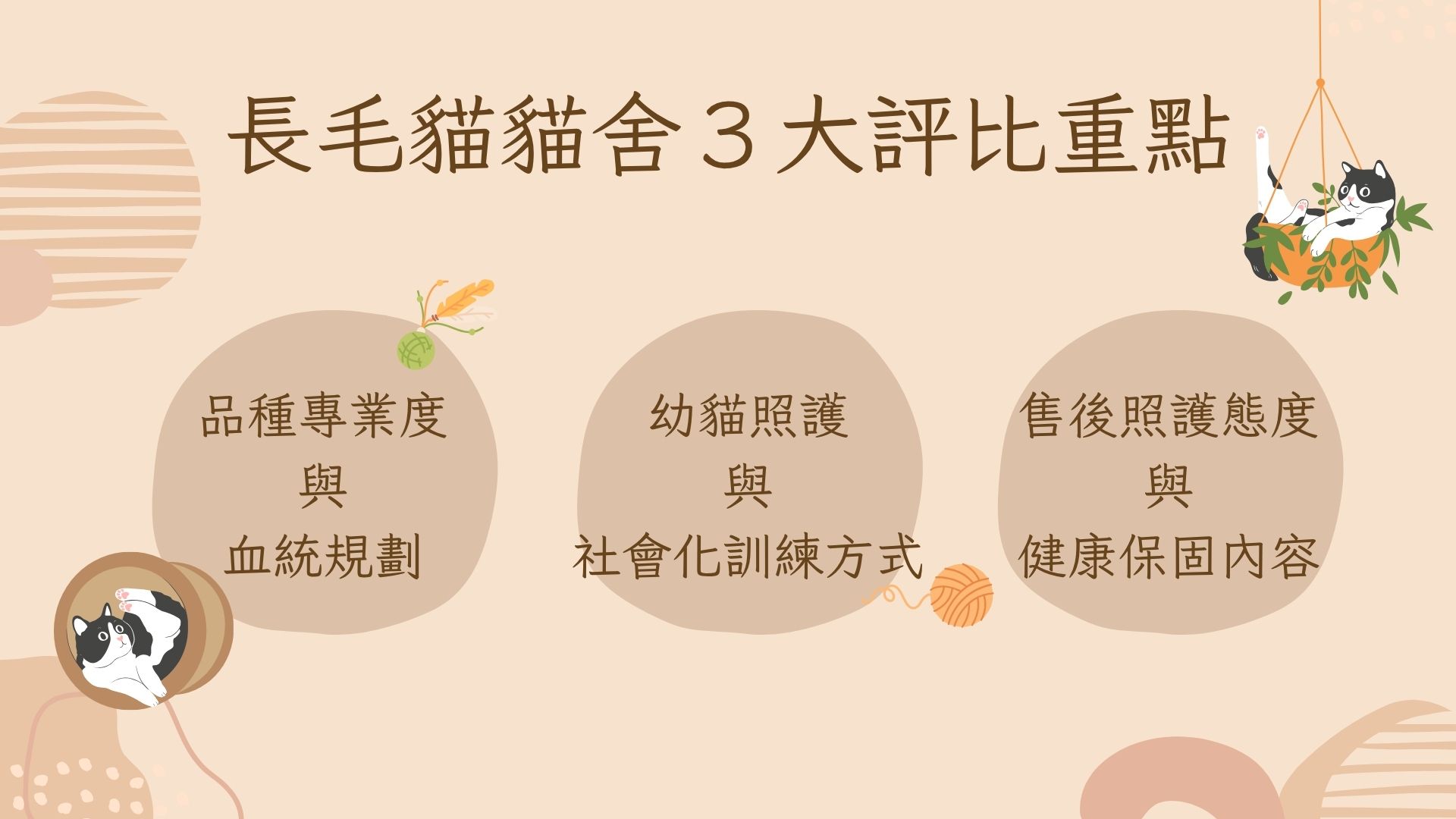 長毛貓貓舍評比重點